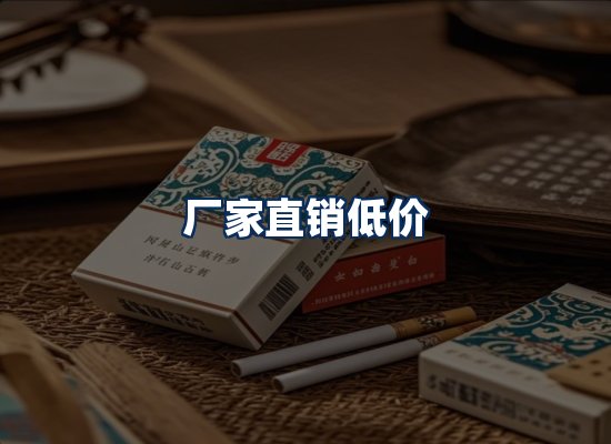专业团队办公环境